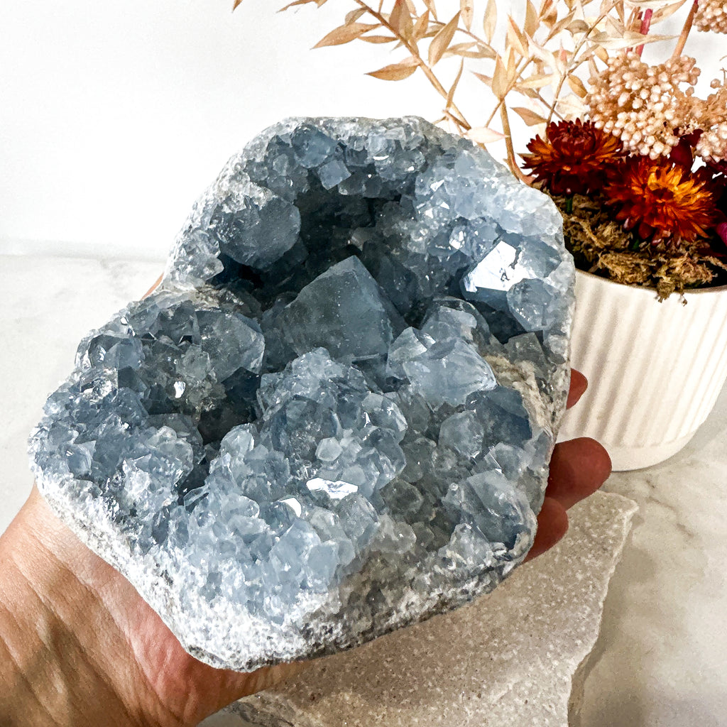 Celestite | Cluster | High Quality