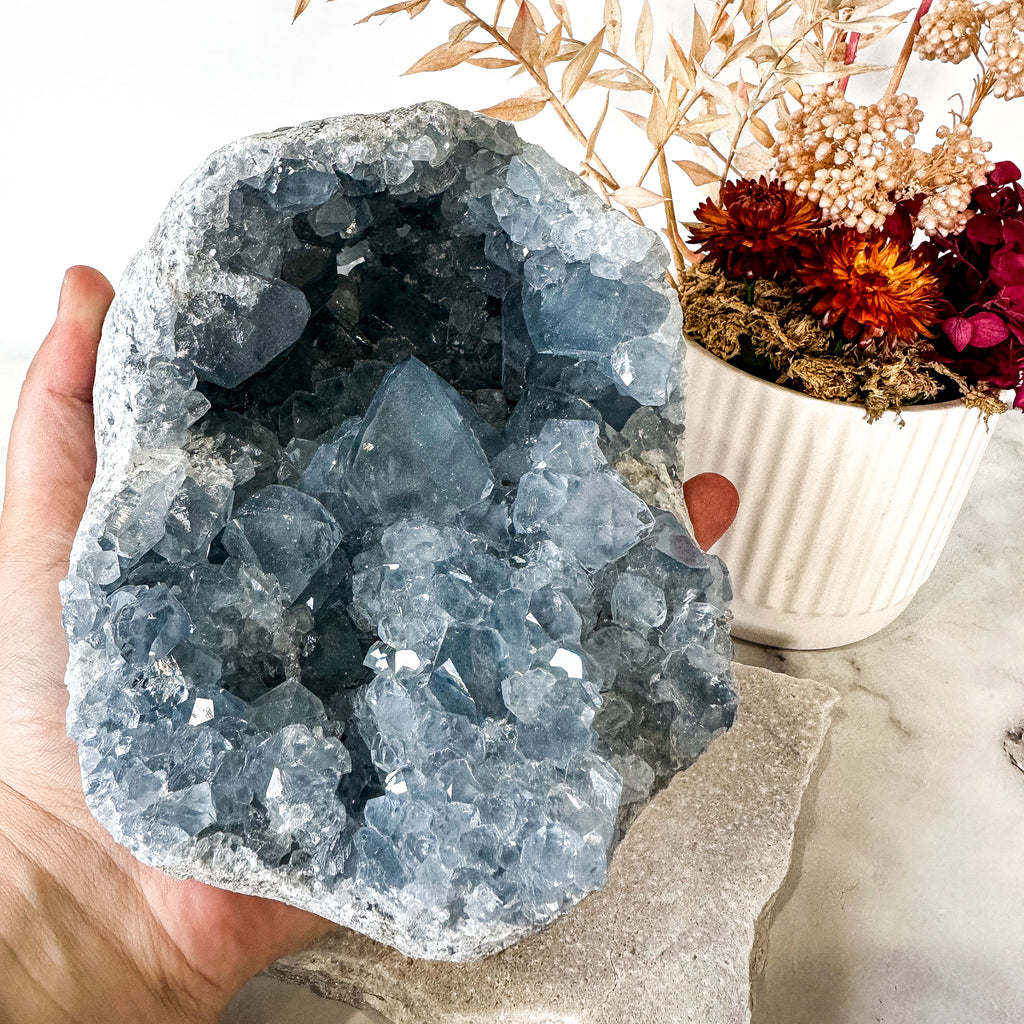 Celestite | Cluster | High Quality